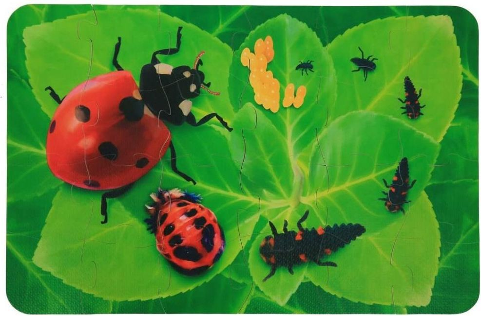 Insect Lore MEGA pěnové puzzle - Beruška - obrázek 1