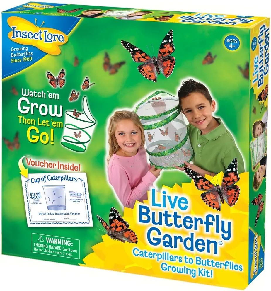 Insect Lore Motýlí zahrádka (3-5 housenek) - Butterfly Garden - obrázek 1