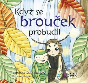 Když se brouček probudil - Veronika Kratochvílová, Jaroslava Šupová - obrázek 1