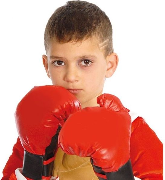 Guirca RUKAVICE dětské boxerské - obrázek 1