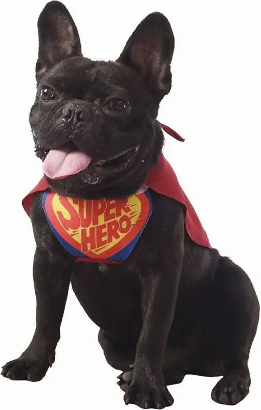 Karnevalový kostým - obleček pro psy - Super Hero - Super hrdina - obrázek 1