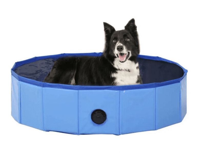 BB-Shop Skládací bazén pro psy modrý 120 x 30 cm PVC - obrázek 1