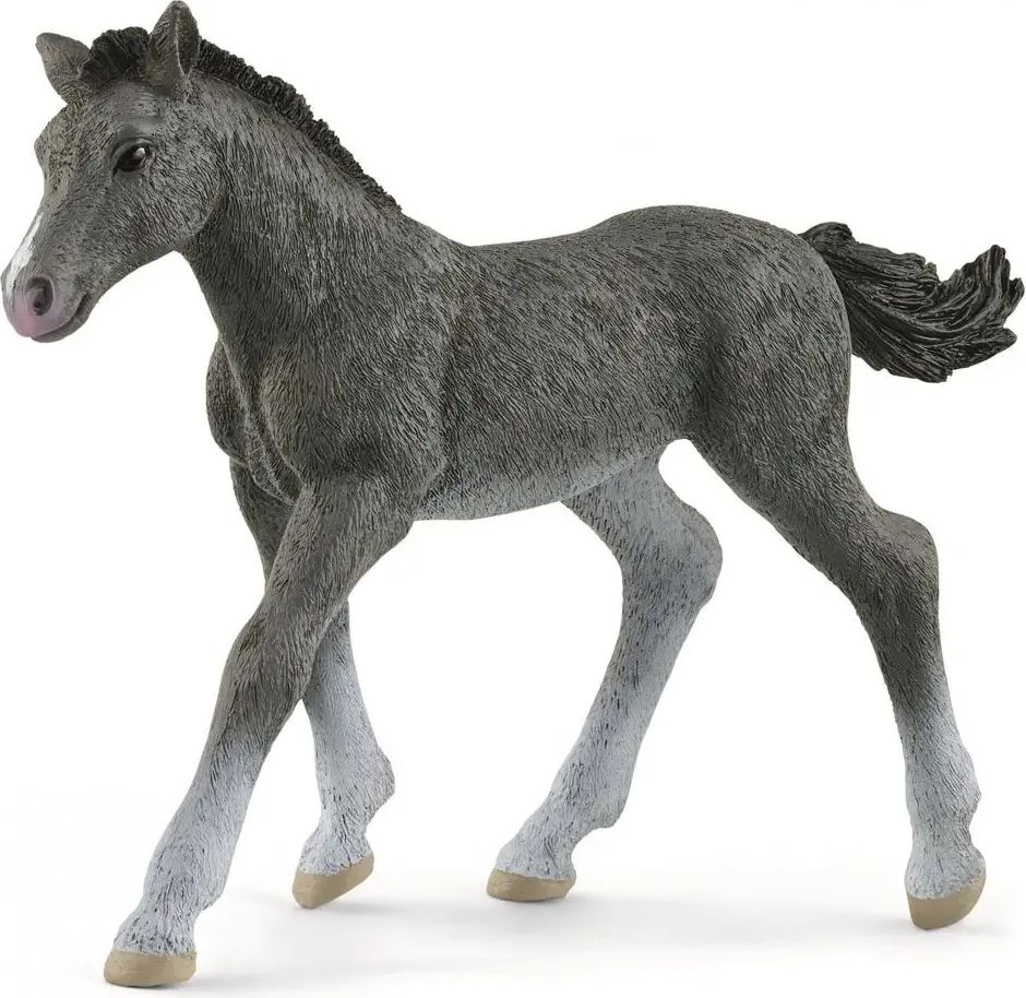 Schleich Trakénské hříbě 13944 - obrázek 1