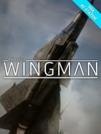 Project Wingman Steam PC - Digital - obrázek 1