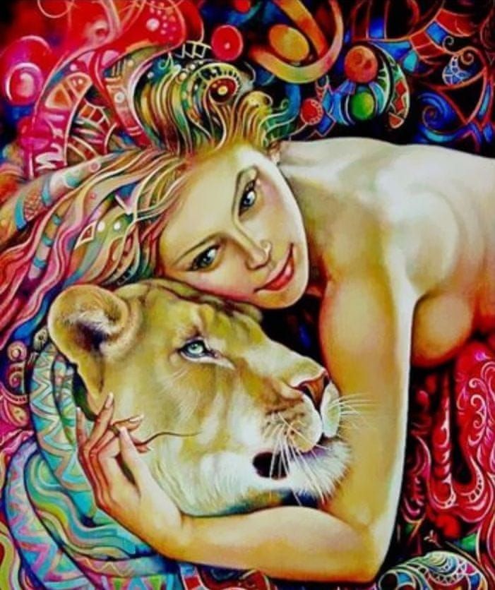 Gaira® Malování podle čísel Dvě lvice M3619 - obrázek 1
