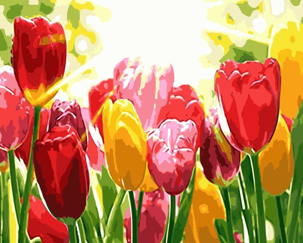 Gaira® Malování podle čísel Tulipány M312 - obrázek 1