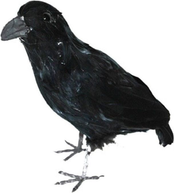 funny fashion Černá vrána dekorace 35cm - obrázek 1