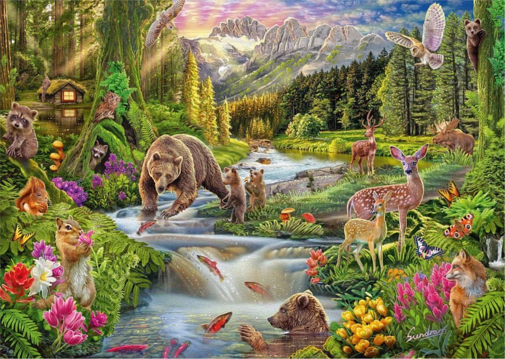 Schmidt Puzzle Divoká příroda: Hranice lesa 1000 dílků - obrázek 1