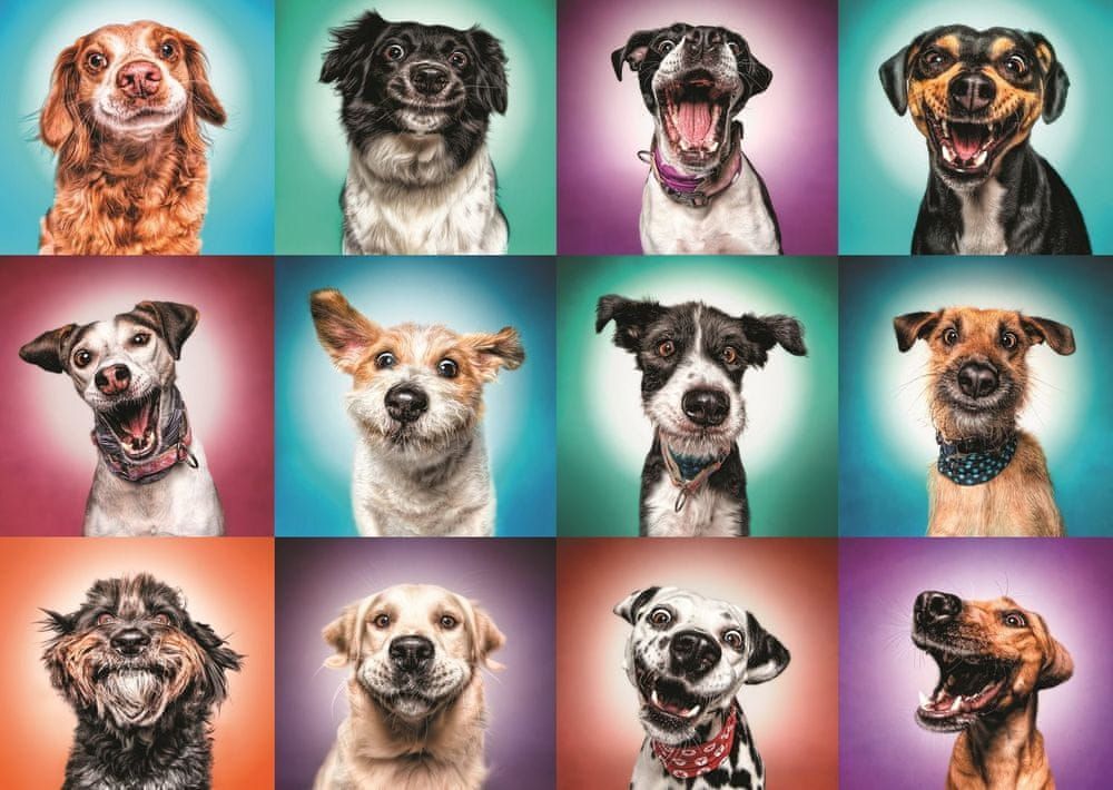 Trefl Puzzle Legrační portréty psů II, 2000 dílků - obrázek 1
