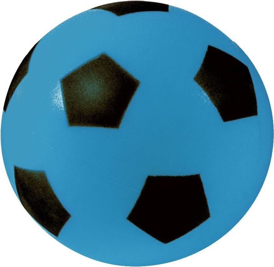 Androni Soft míč - průměr 20 cm, modrý - obrázek 1