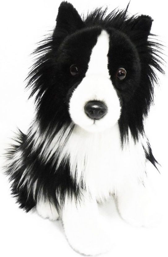 RAPPA Plyšový pes border kolie sedící 30 cm ECO-FRIENDLY - obrázek 1