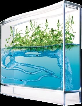 T.A.O.S. Super Forest Ant Ecoterrarium - obrázek 1