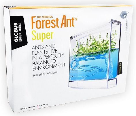 T.A.O.S. Super Forest Ant Ecoterrarium - obrázek 2