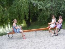 Vahadlová čtyřhoupačka VH401D - obrázek 2