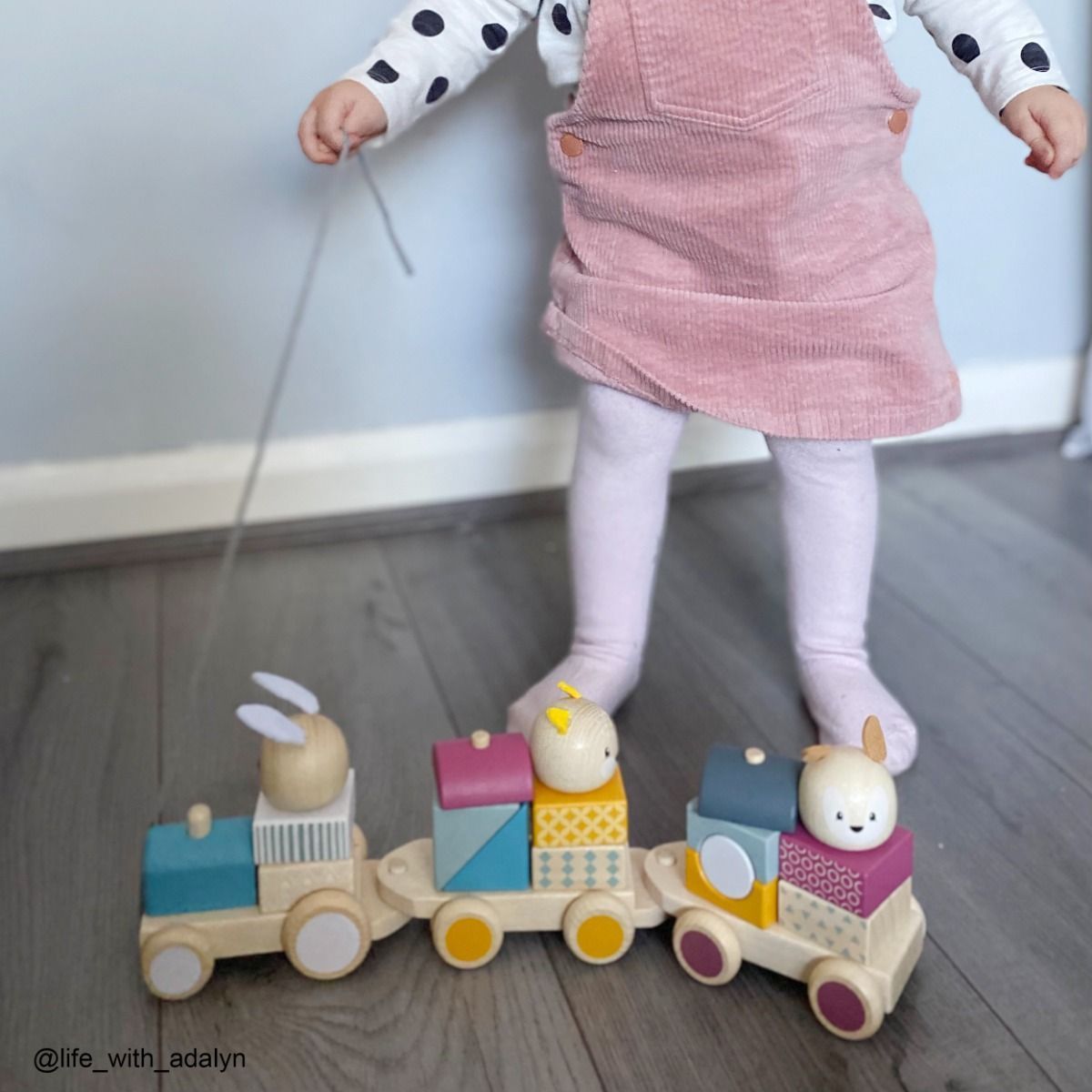 Bigjigs Toys Bigjigs Baby Dřevěný vláček se zvířátky  poškozený obal - obrázek 4