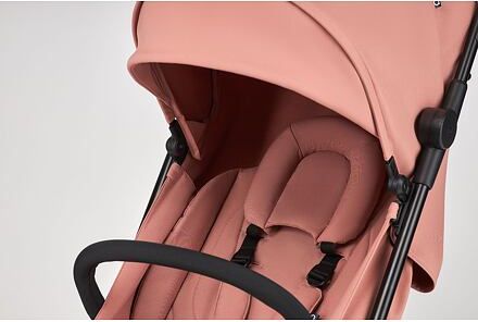 Sportovní kočárek Anex Air-Z Blush - obrázek 24