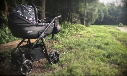 Kočárek Baby Active Mommy Special edition 2022 dvojkombinace Jungle gold - obrázek 7