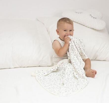 Oboustranná deka bambus a bavlna Baby Matex sovičky - obrázek 4