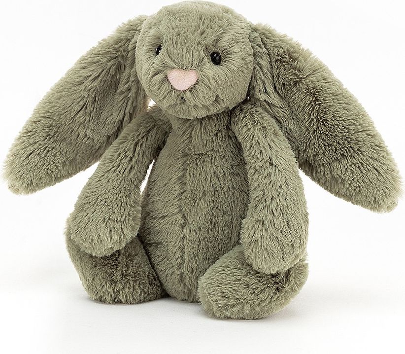 PLYŠOVÝ KRÁLÍČEK JELLYCAT, FERN, 18 CM - obrázek 1