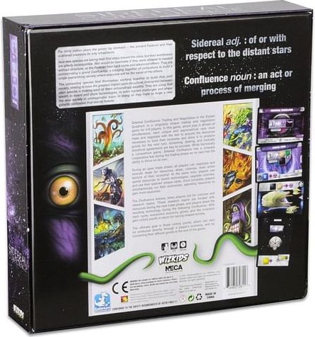 Sidereal Confluence - obrázek 5