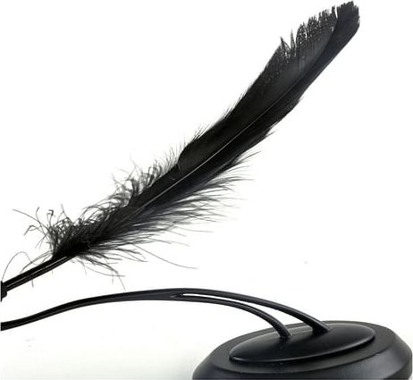 Noble Collection Replika Harry Potter - Brk Dolores Umbridgeové - obrázek 3