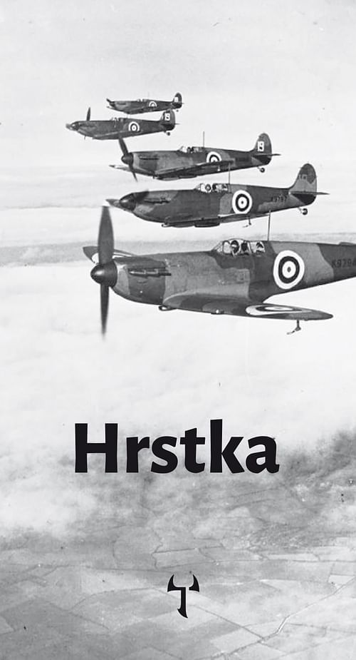 Hrstka - obrázek 1