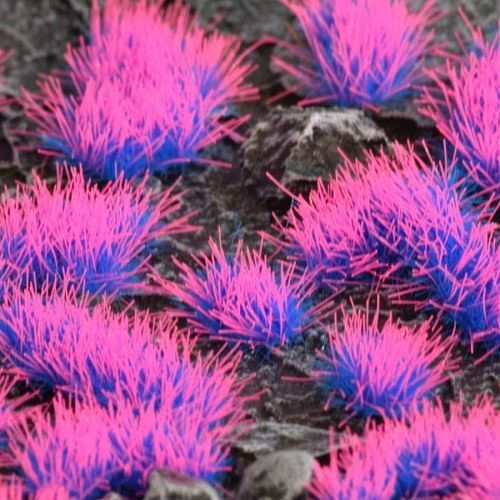 Dekorace GamersGrass - Alien Neon - obrázek 1