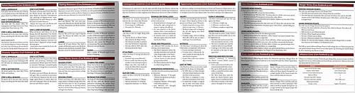 7th Sea RPG - GM Screen - obrázek 2