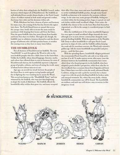 Humblewood Campaign Setting Book - obrázek 3