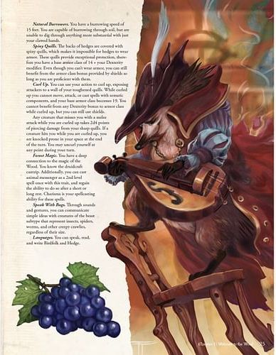 Humblewood Campaign Setting Book - obrázek 7