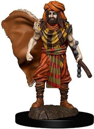D&D Miniatures: Icons of the Realms - Human Druid Male - obrázek 1