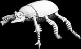 Figurka Giant Scarab Beetle - obrázek 1