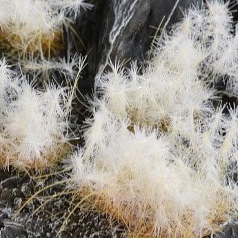 Dekorace GamersGrass - Spikey Winter - obrázek 2