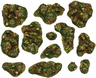 Dekorace Forest Basing Kit (13 ks) - obrázek 1