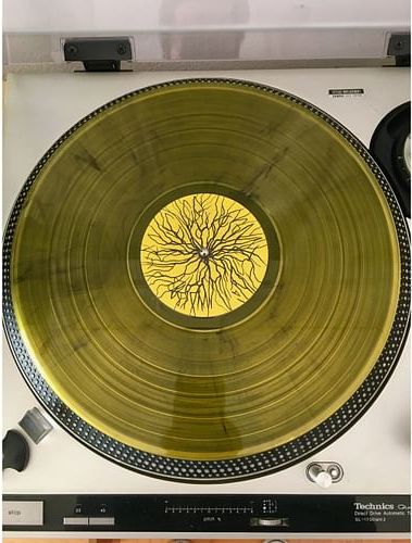 Putrescence Regnant (LP audio) - obrázek 2