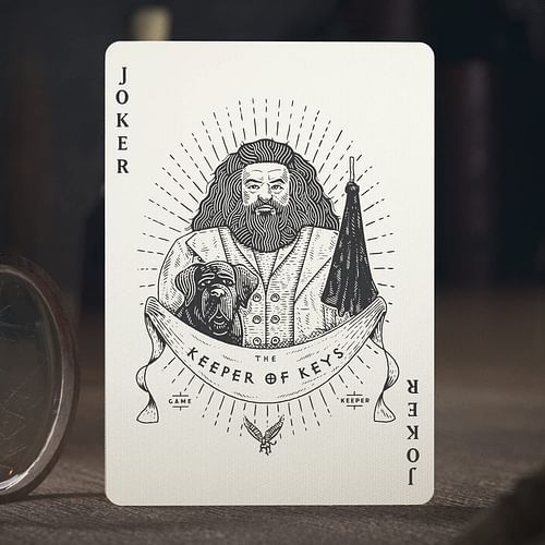 Hrací karty Theory11: Harry Potter - Mrzimor - obrázek 3