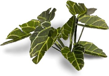 Dekorace GamersGrass: Laser Plants - Elephant Ear - obrázek 1