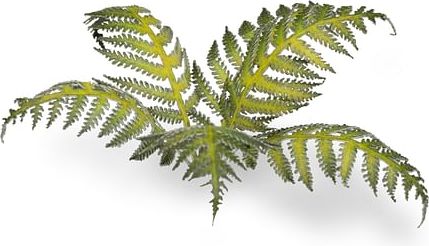 Dekorace GamersGrass: Laser Plants - Bracken - obrázek 1