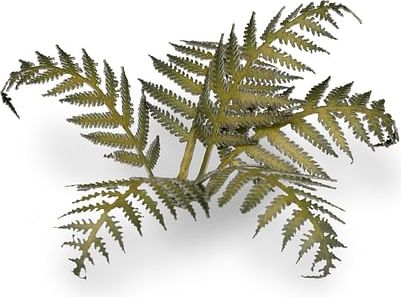 Dekorace GamersGrass: Laser Plants - Bracken - obrázek 2