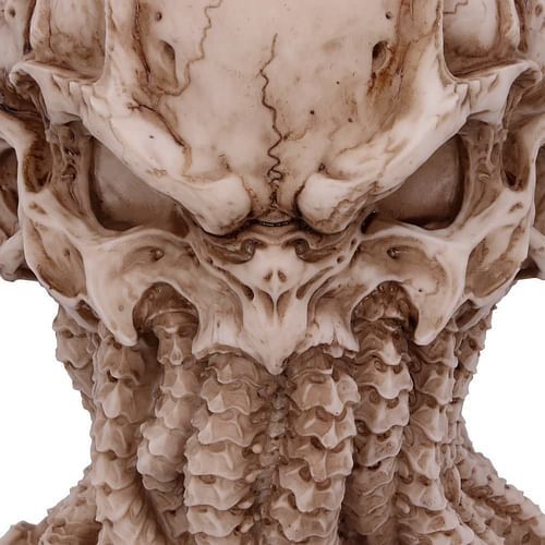 Nemesis Now Lebka Cthulhu (20 cm) - obrázek 6