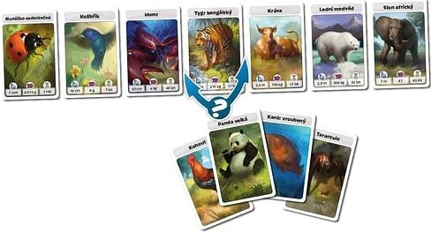 Cardline: Svět zvířat (nové vydání) - obrázek 2
