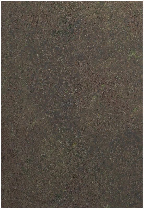 Gamemat.eu Herní podložka 44"x30" (112x76 cm) - různé motivy Varianta: Swamp - obrázek 1