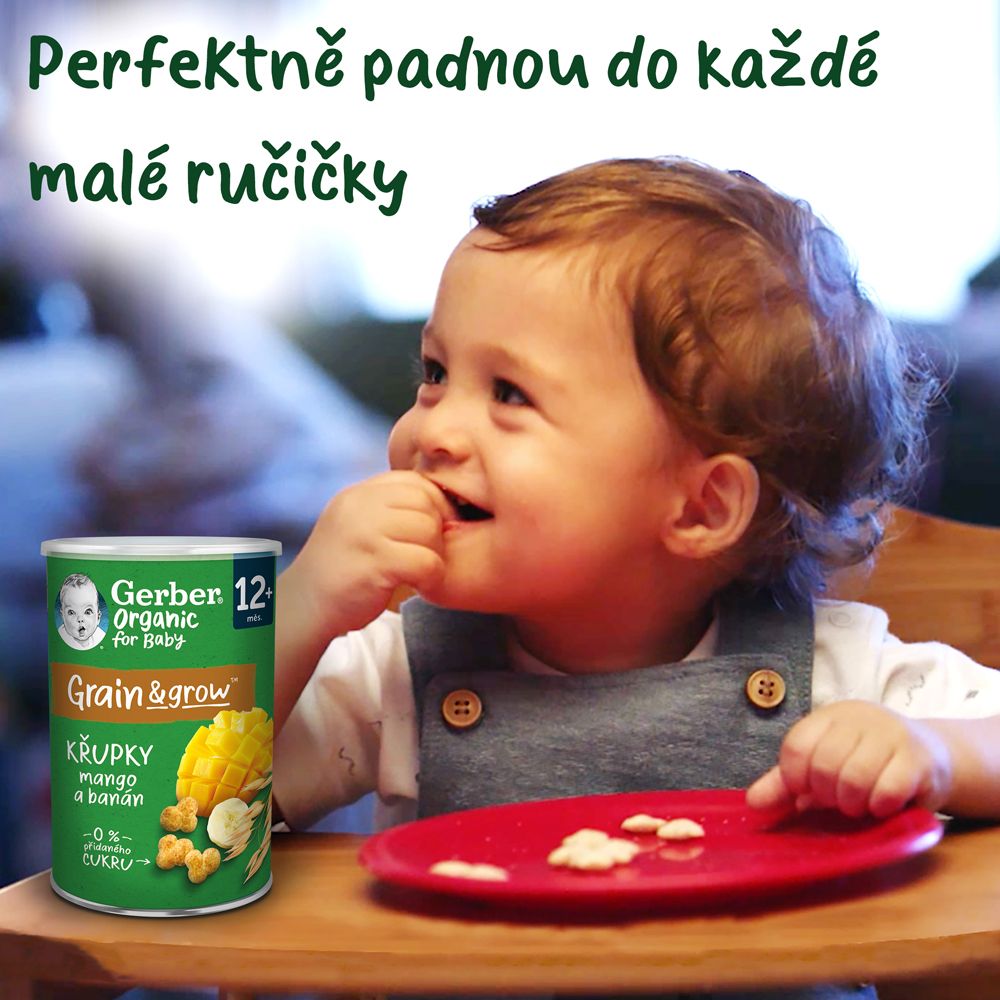 Gerber Organic křupky s mangem a banánem 5 x 35 g - obrázek 9