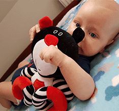 Hencz Toys Závěsná edukační /plyšová hračka Méďa s melodií - černá - obrázek 3