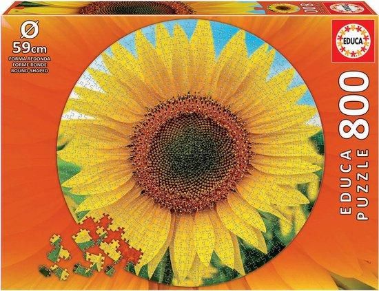 EDUCA Kulaté puzzle Slunečnice 800 dílků - obrázek 1