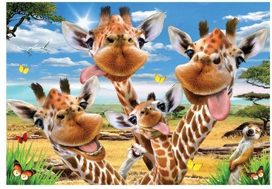 ANATOLIAN Puzzle Žirafí selfie 500 dílků - obrázek 1