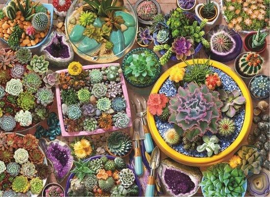 ANATOLIAN Puzzle Kaktusové květináče 1000 dílků - obrázek 1