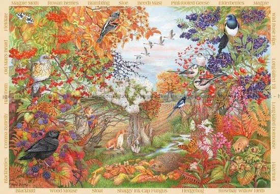 FALCON Puzzle Podzimní živý plot 500 dílků - obrázek 1