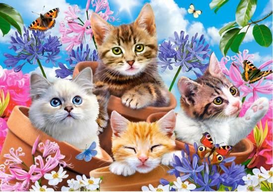 CASTORLAND Puzzle Koťátka s květinami 70 dílků - obrázek 1