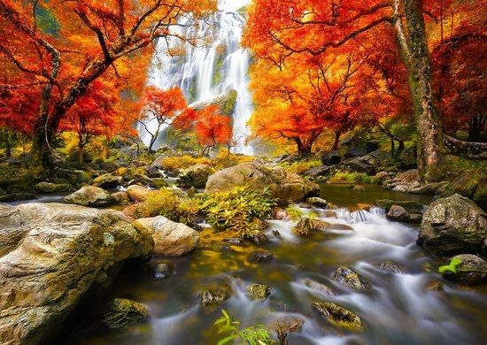 ENJOY Puzzle Podzimní vodopád 1000 dílků - obrázek 1